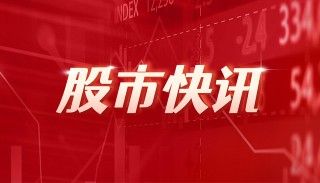拓斯达：2024年度净利润约-2.45亿元