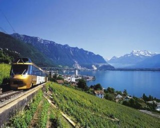 如何了解欧洲的货币体系？欧洲主要货币的特点是什么？