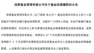 淳厚基金固收总监“不能有效履职”，什么情况？