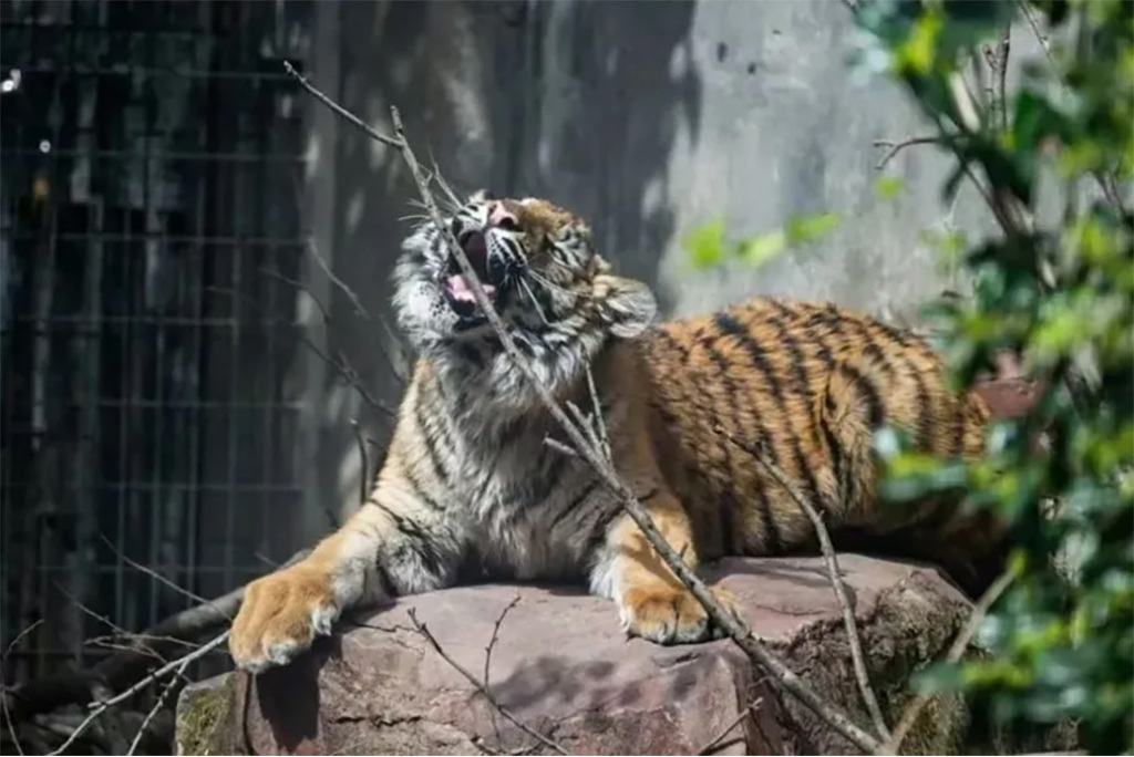 “五一”假期余额不足两天，多地景点已约满、限流  第2张