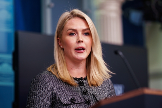 白宫驳斥“马斯克曾与美财长大打出手”：没那么夸张，只是意见不合  第1张