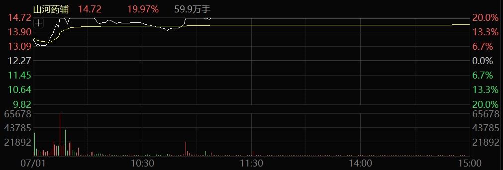 多股20%涨停！医药、玻璃玻纤，突然大爆发！  第3张
