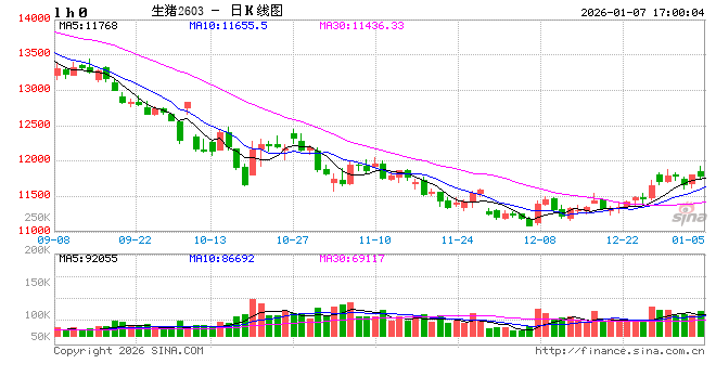 生猪期货上市五周年 从“稳起步”到“深扎根”  第2张