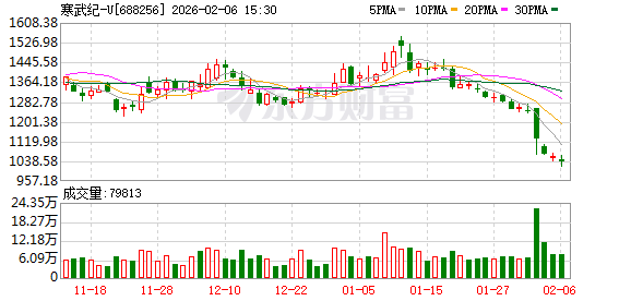 寒武纪：预计2025年净利润18.5亿元至21.5亿元，同比扭亏为盈  第1张